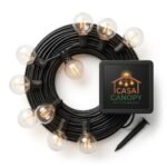 Outdoor String Lights with Warm White LED Bulbs